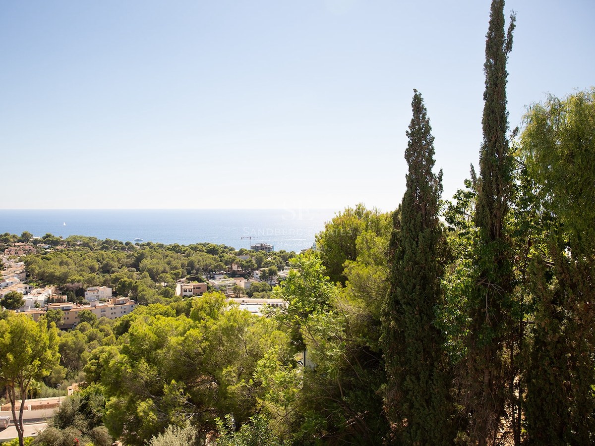 Elevated view overlooking a lush green forest and a coastal town leading to the blue sea under a clear sky.
