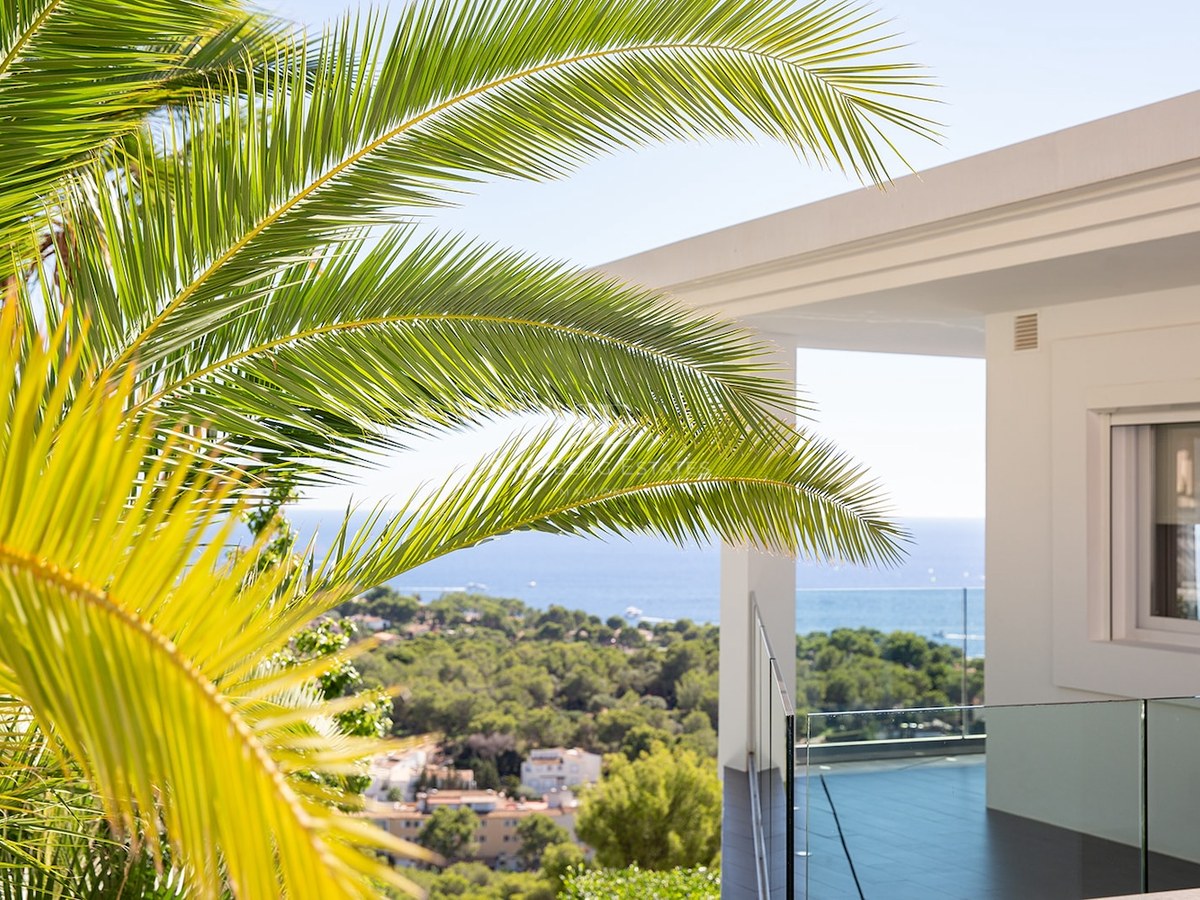 Vibrant palm fronds framing a white modern terrace with glass railings overlooking a lush valley and the blue sea.