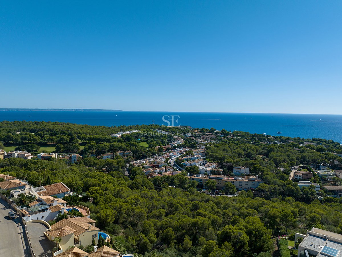 Aerial drone view of a lush green forest meeting a residential coastal town with the deep blue sea on the horizon.