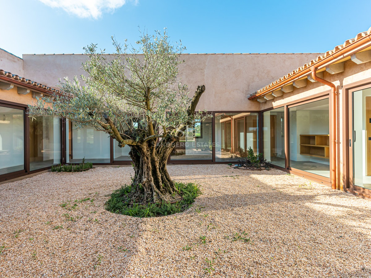A central courtyard featuring an old olive tree, light gravel, large glass windows, and a terracotta roof.