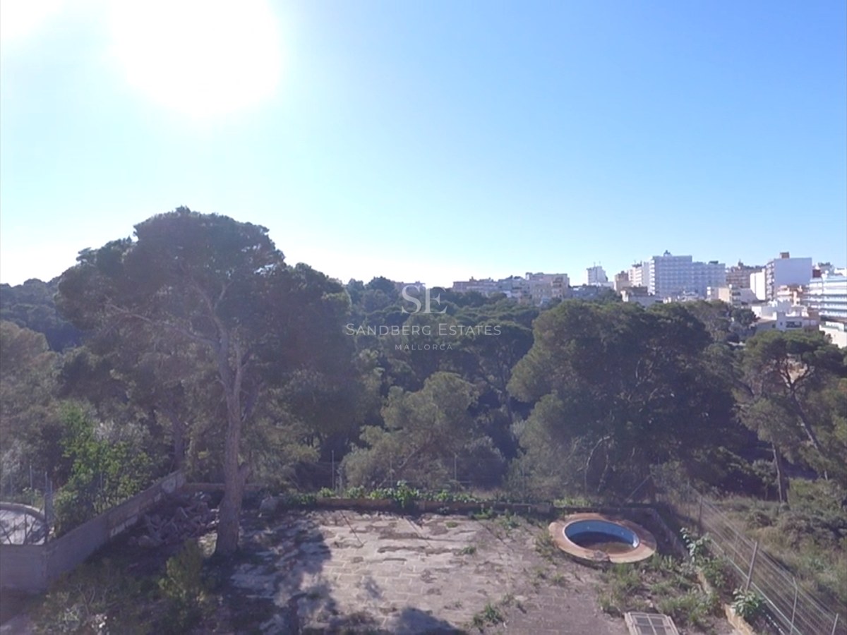Elevated view of a garden with a small circular pool, large pine trees, and the city skyline in the distance.