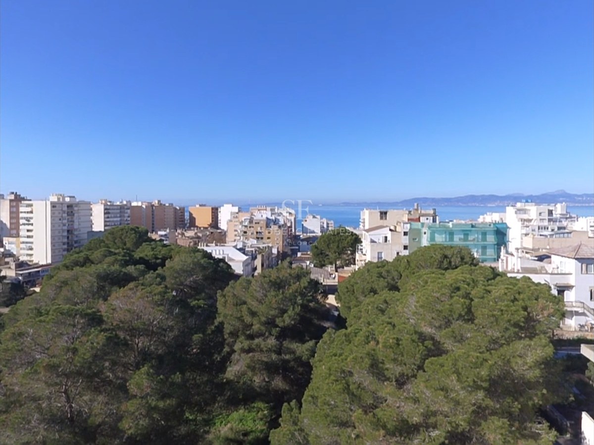 High-angle view over lush green treetops towards white urban buildings and the blue sea under a clear sky.