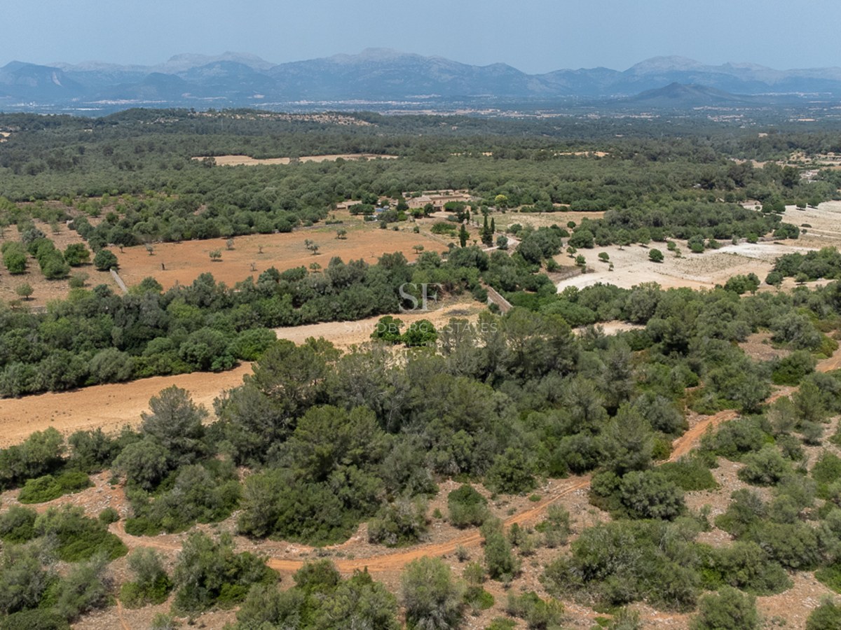 Aerial view of a large rural estate with olive groves, forests, and distant mountains under a clear sky.