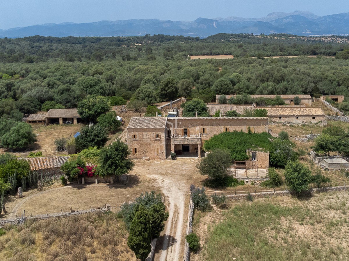 Aerial shot of a large stone finca surrounded by lush olive groves with mountains in the background.