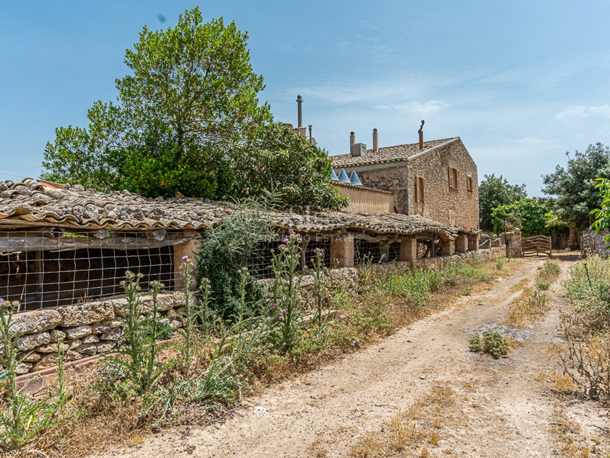 Traditional stone building with a terracotta roof next to a dirt path and lush green trees under a clear blue sky.