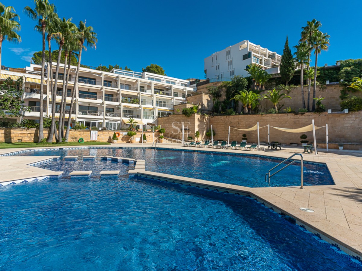 Large blue swimming pool surrounded by a stone deck, palm trees, and a white apartment building under a clear sky.