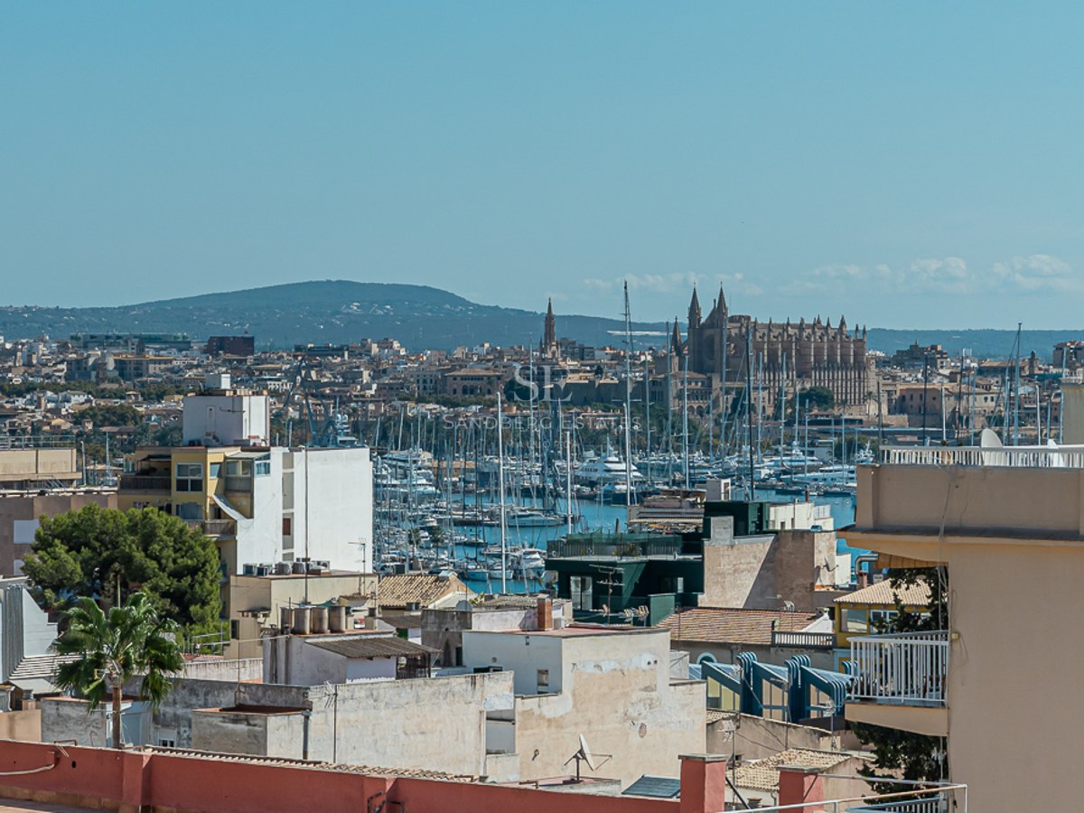 Vista elevada de los tejados de Palma hacia el puerto deportivo y la Catedral gótica bajo un cielo despejado.