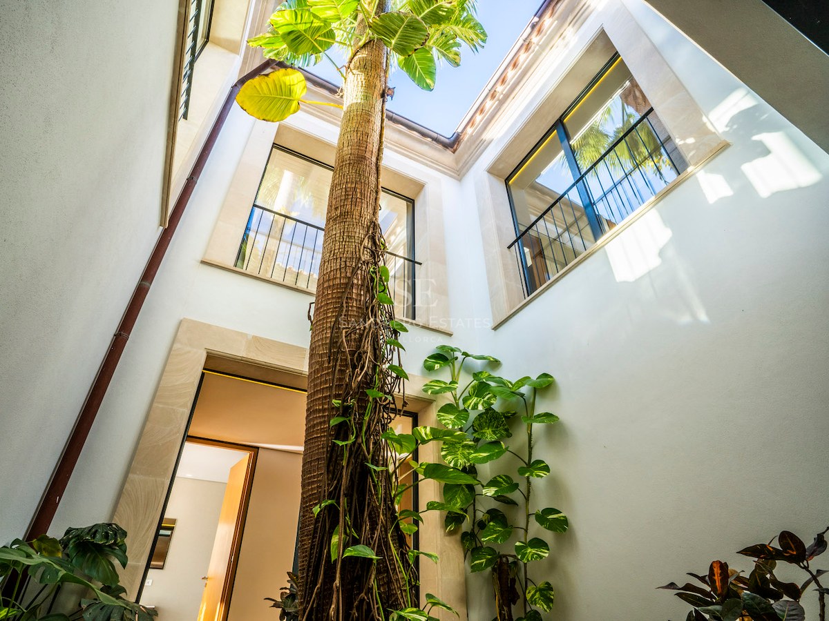 Looking up at a tall palm tree in a white interior courtyard with stone-framed windows and a view of the sky.