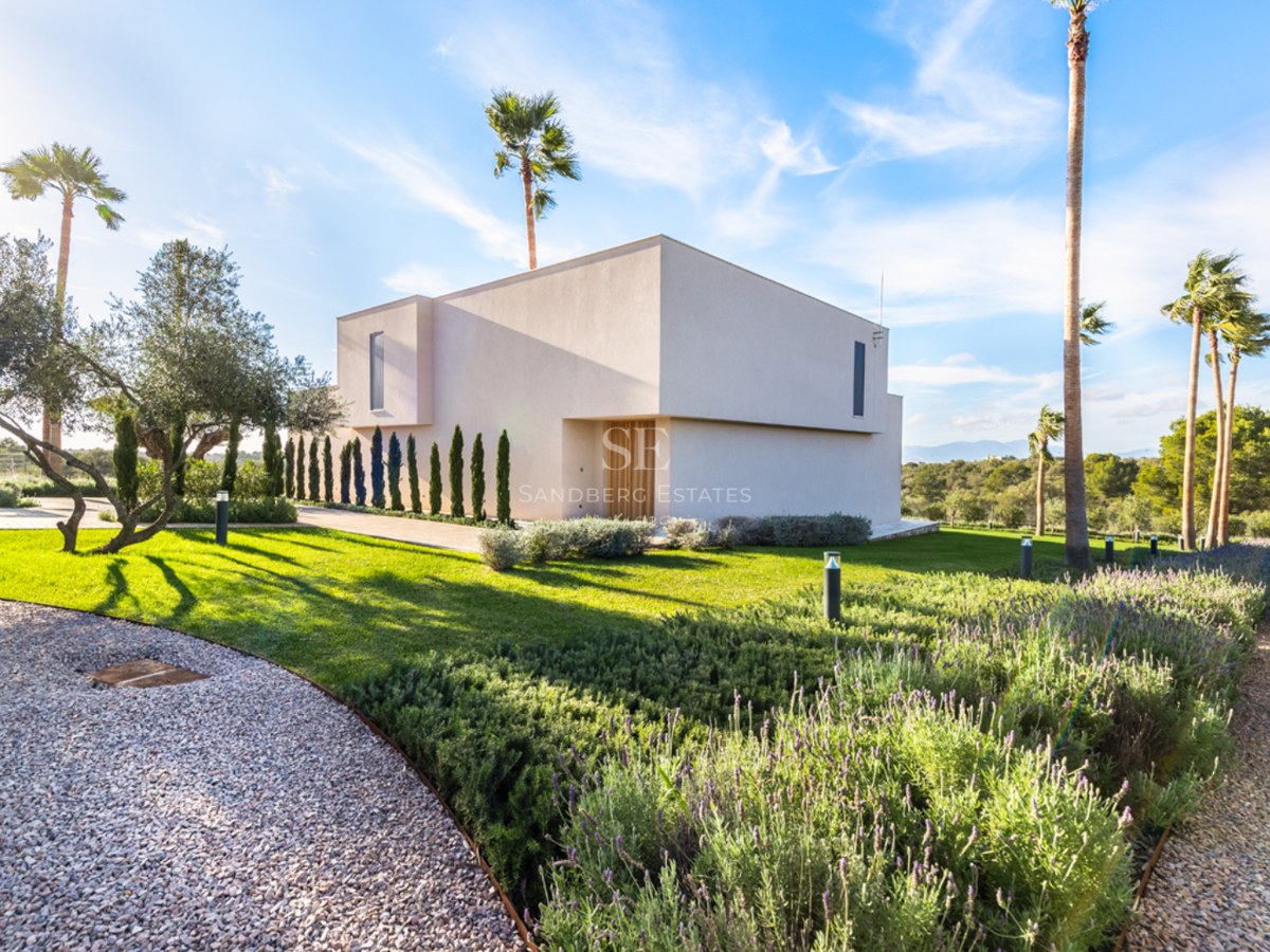 Villa moderne blanche au design minimaliste entourée d'une pelouse, de lavande et de palmiers sous un ciel bleu.