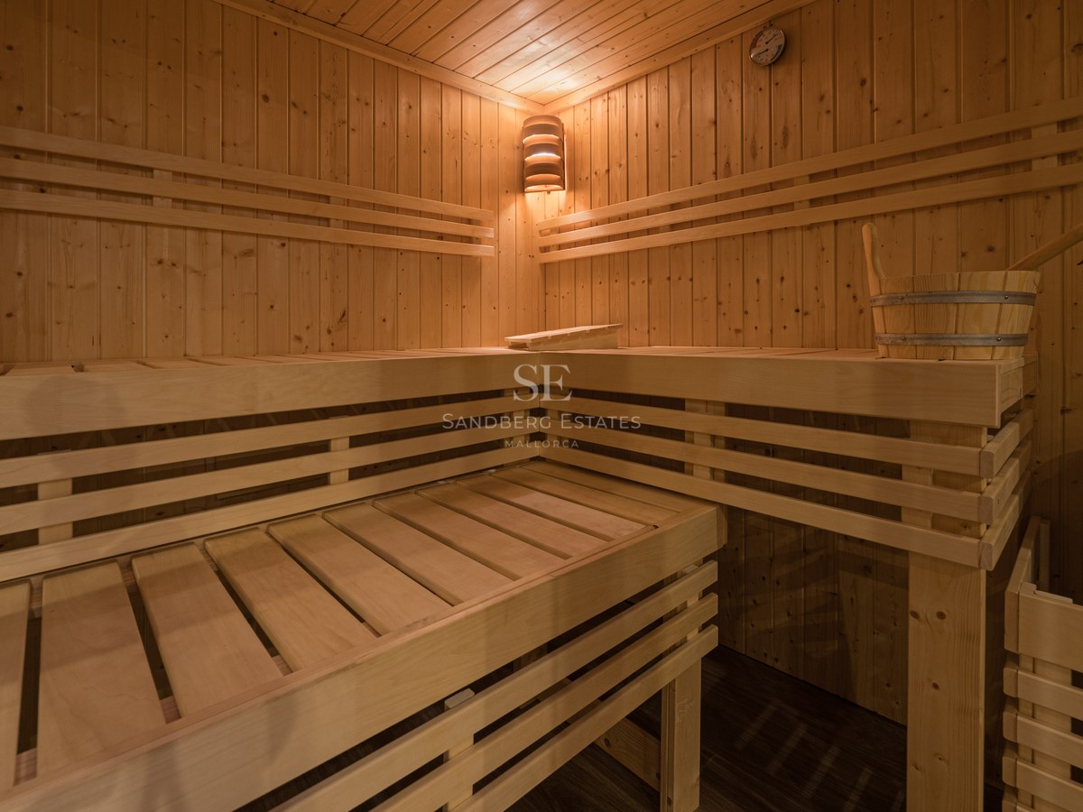 Vue intérieure d'un sauna en bois avec bancs à plusieurs niveaux, éclairage d'angle chaleureux et seau en bois.