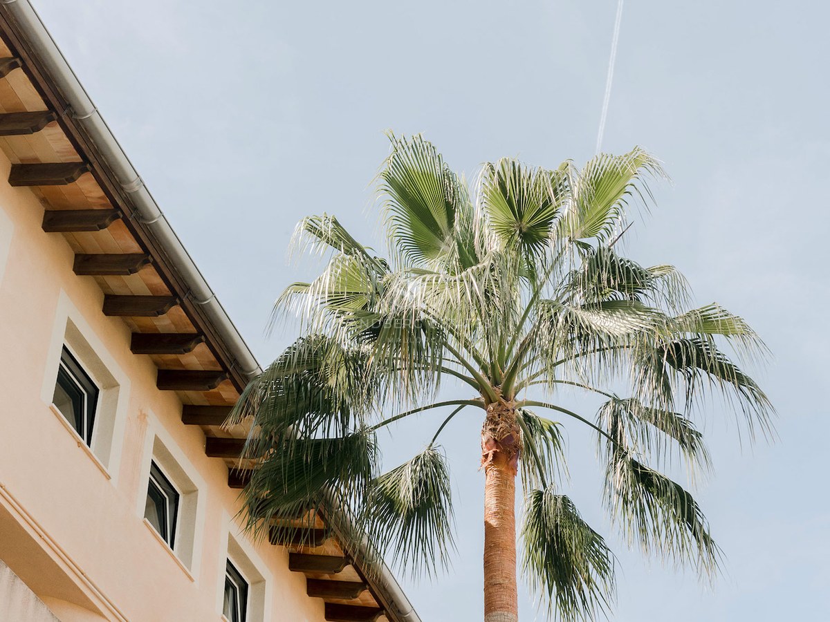 Vista de ángulo bajo de una villa color melocotón con vigas de madera y una palmera frente a un cielo azul.