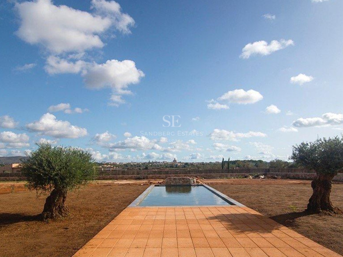 A rectangular swimming pool flanked by two mature olive trees under a blue sky in a rustic landscape.