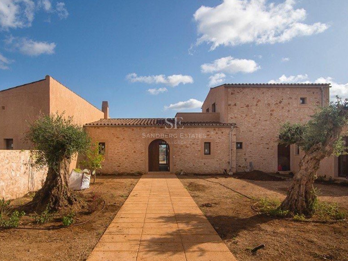 Front view of a natural stone villa with a terracotta path and ancient olive trees under a bright sky.