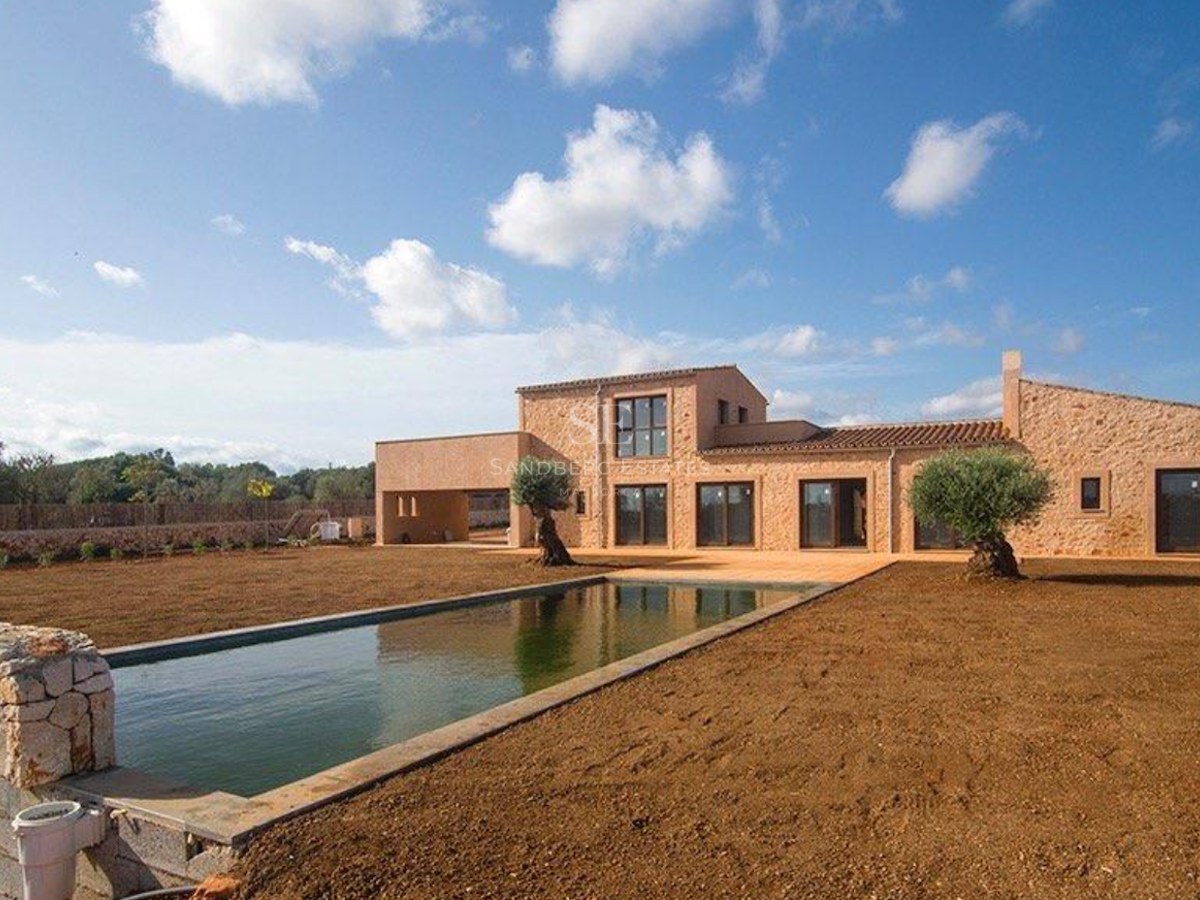 A contemporary stone villa featuring a long rectangular pool and olive trees under a clear blue sky.