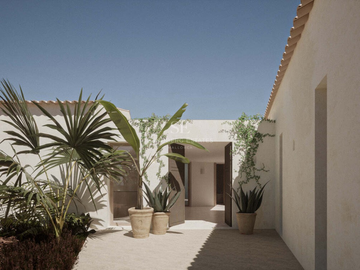 Sunlit courtyard with palm trees in clay pots leading to a minimalist villa entrance under a clear blue sky.