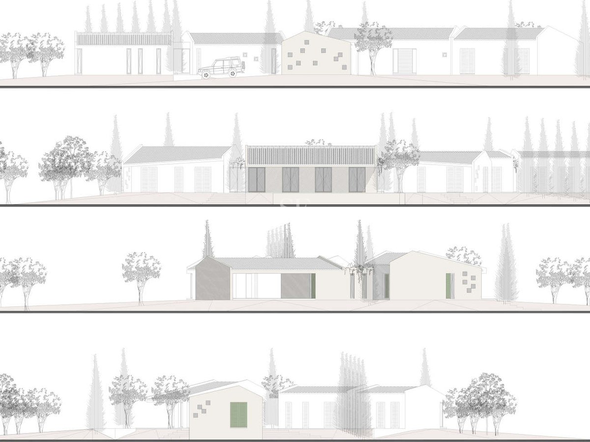 Technical line drawing showing four horizontal facade views of a Mediterranean villa with cypress trees.
