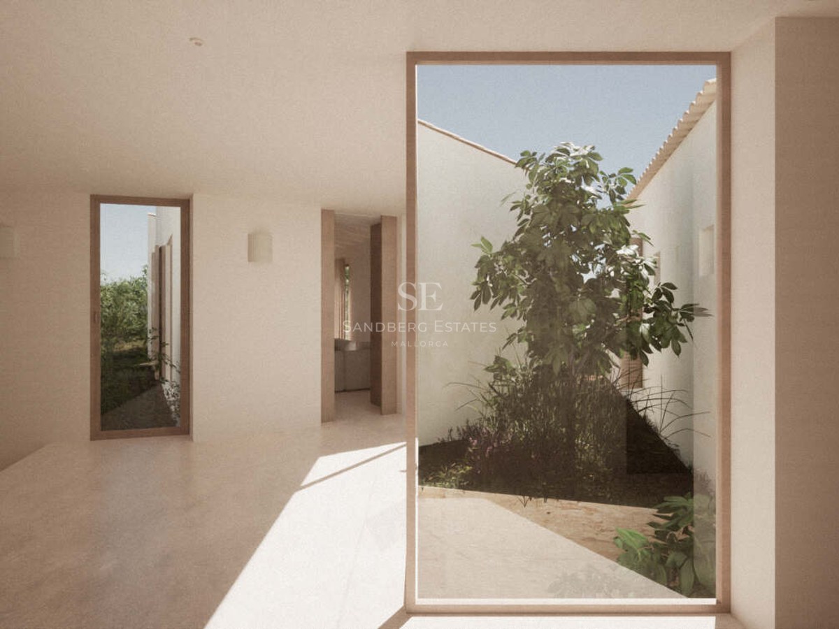 A bright, minimalist hallway with floor-to-ceiling windows overlooking a private interior courtyard with a central tree.