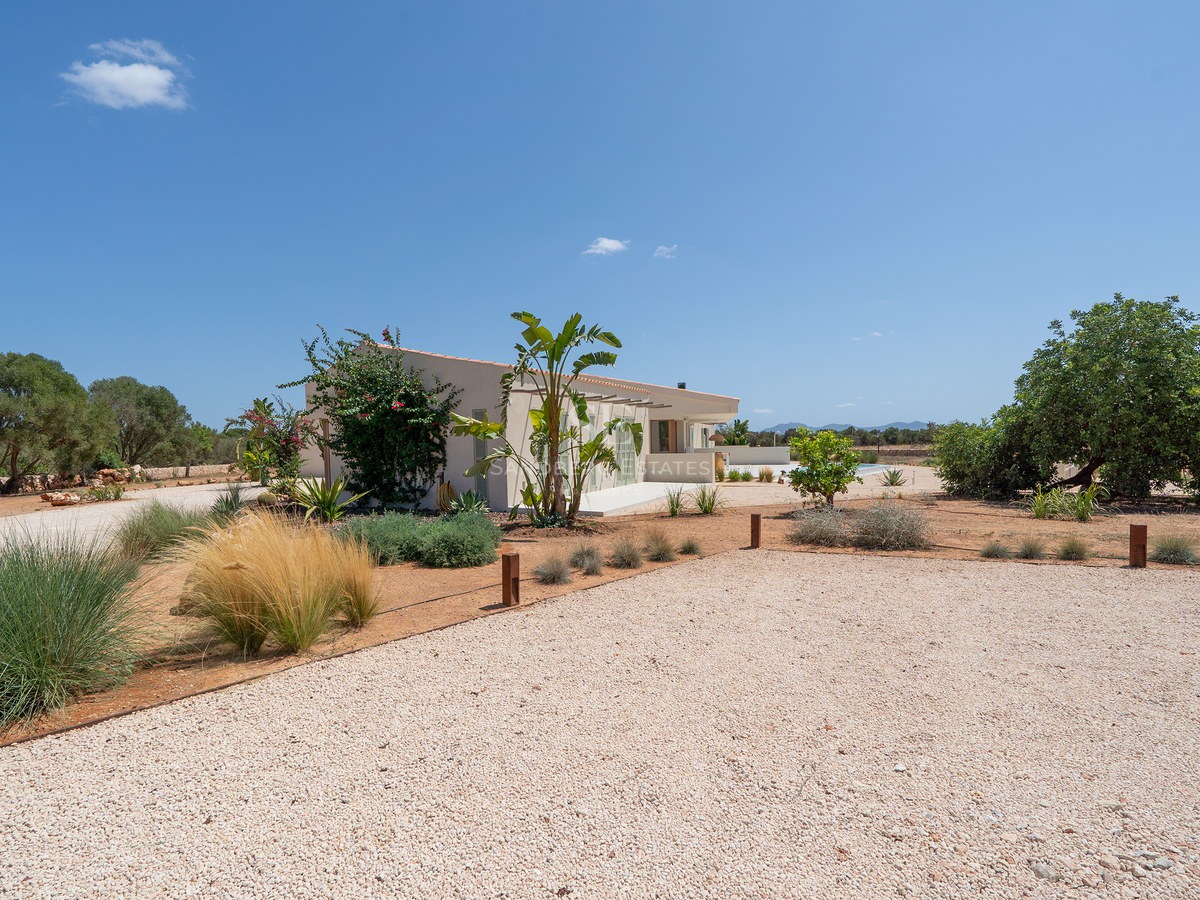 Exterior view of a modern one-story white villa with a gravel driveway and Mediterranean plants under a clear blue sky.