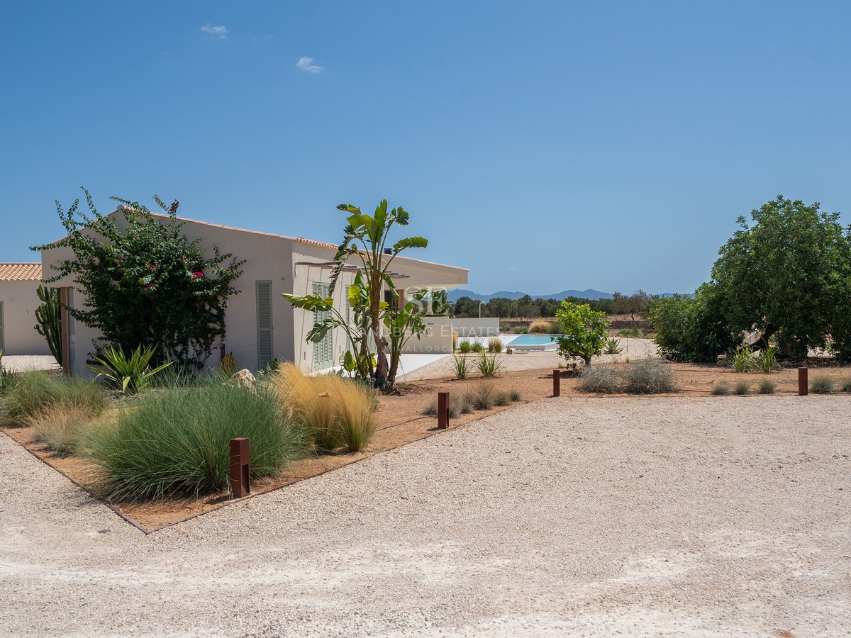 A modern one-story white villa with a terracotta roof, gravel driveway, and lush Mediterranean plants under a clear sky.