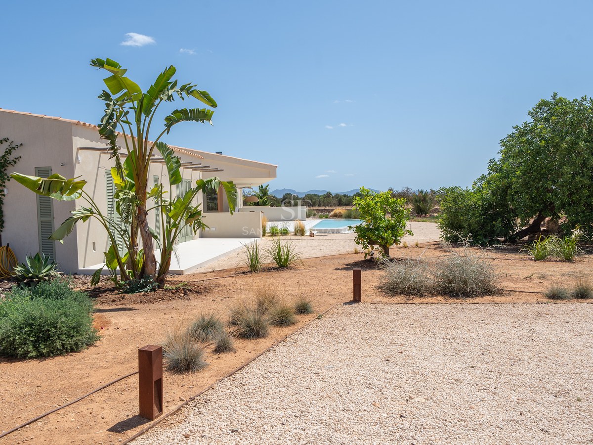 Exterior side view of a cream villa with green shutters, a gravel garden, exotic plants, and a swimming pool in the distance.