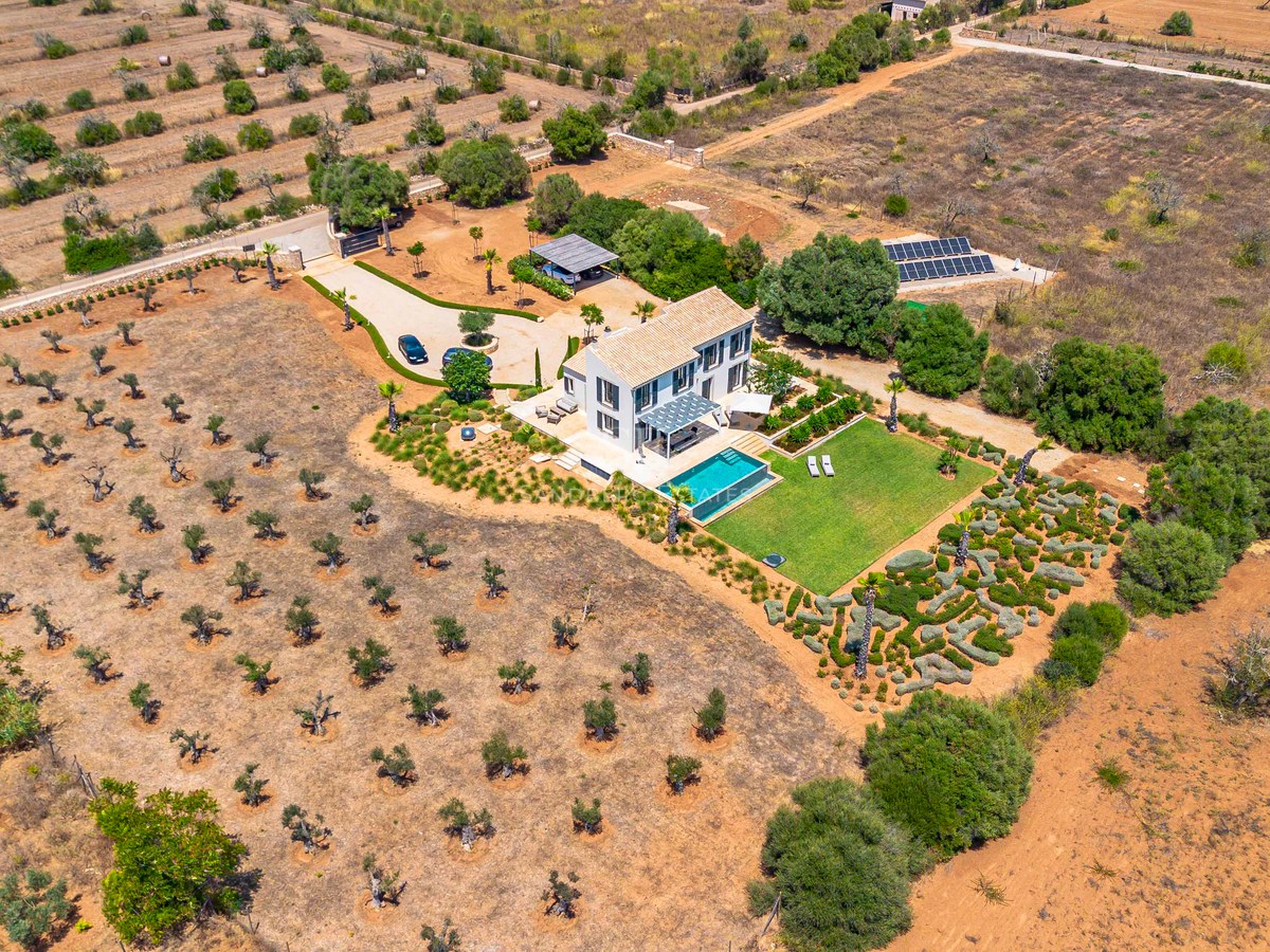 Vue aérienne d'une villa de luxe blanche avec piscine, panneaux solaires et vastes oliveraies sur un grand terrain.