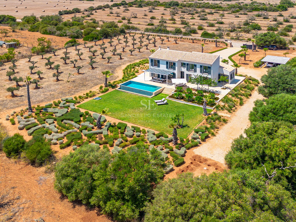 Vue aérienne d'une villa blanche avec piscine à débordement et vaste oliveraie à Majorque.