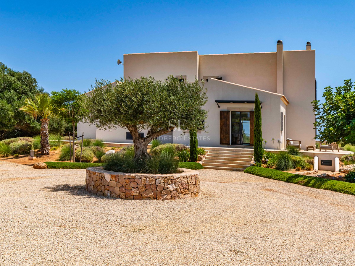 Entrée de villa moderne beige avec un grand olivier dans un muret en pierre et une allée de gravier.