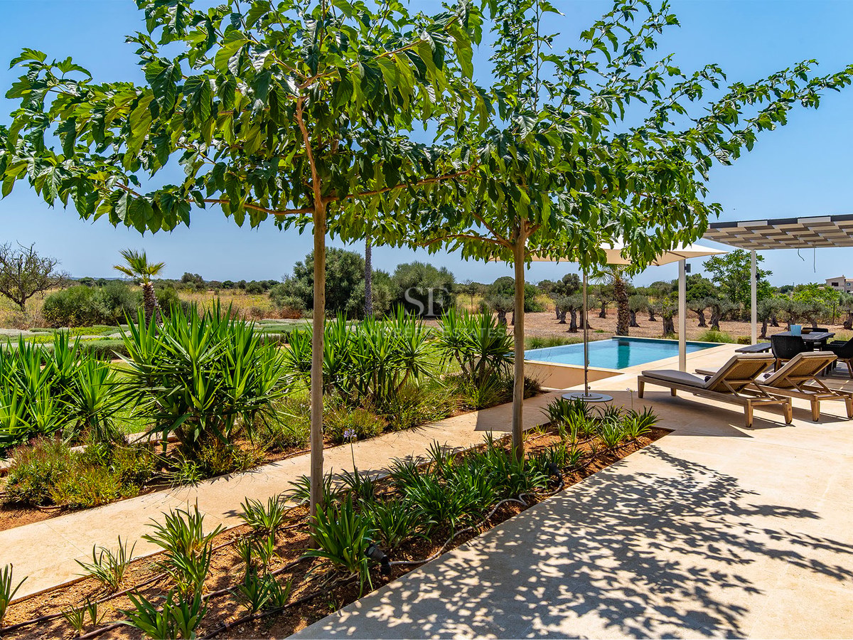 Piscine de luxe entourée d'une terrasse en pierre, bains de soleil et végétation méditerranéenne.