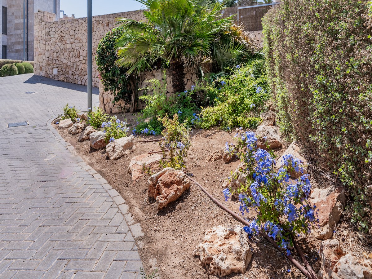 Grey herringbone paved path next to a Mediterranean garden with stone walls, palm trees, and blue flowers.
