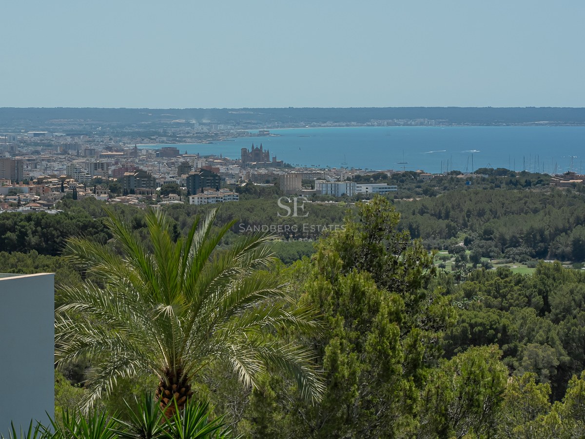 Vista elevada de la catedral de Palma y el puerto, rodeada de bosques de pinos y el horizonte del mar Mediterráneo.