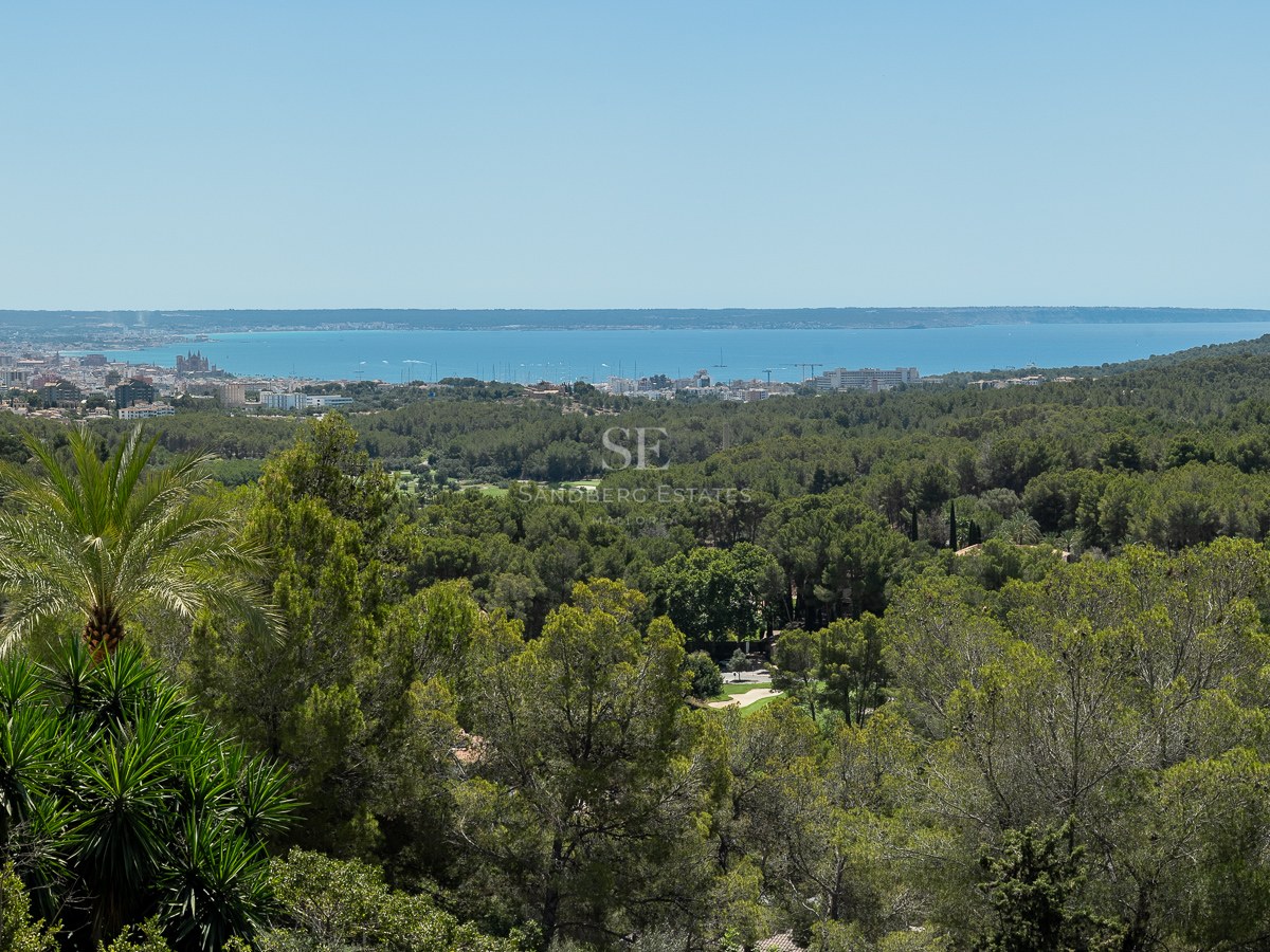 Vista elevada sobre un bosque de pinos hacia el mar Mediterráneo y la silueta de Palma bajo un cielo azul despejado.