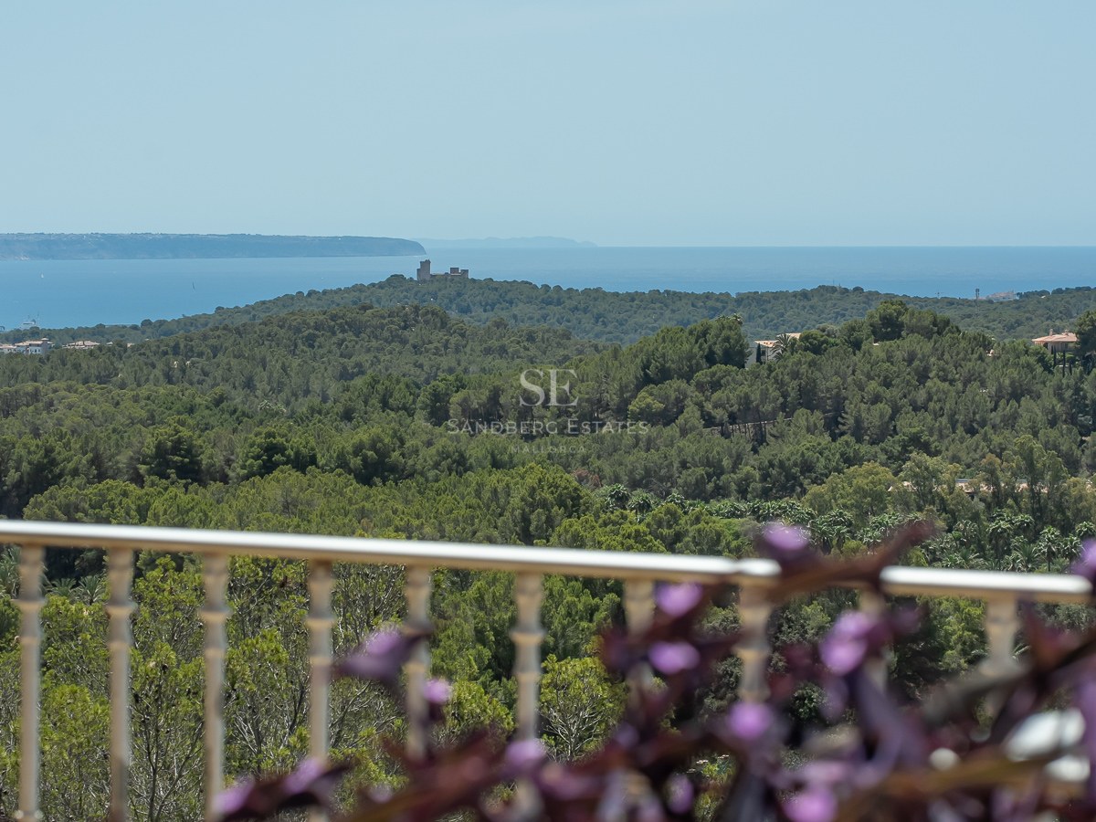 Vista desde un balcón hacia un denso bosque de pinos y el mar Mediterráneo azul bajo un cielo despejado.