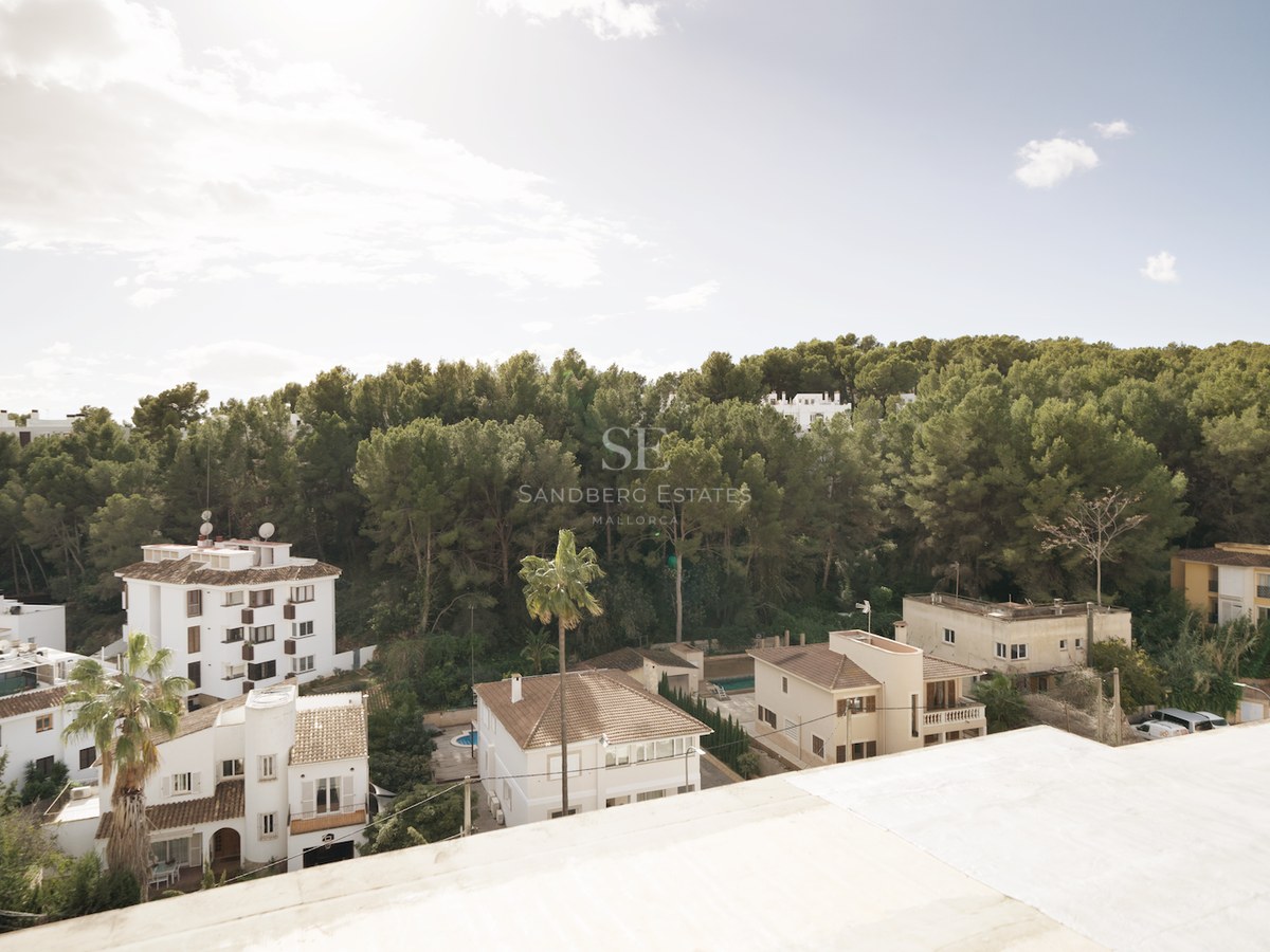 Vista desde una azotea hacia villas mediterráneas y un denso bosque de pinos bajo un cielo despejado.
