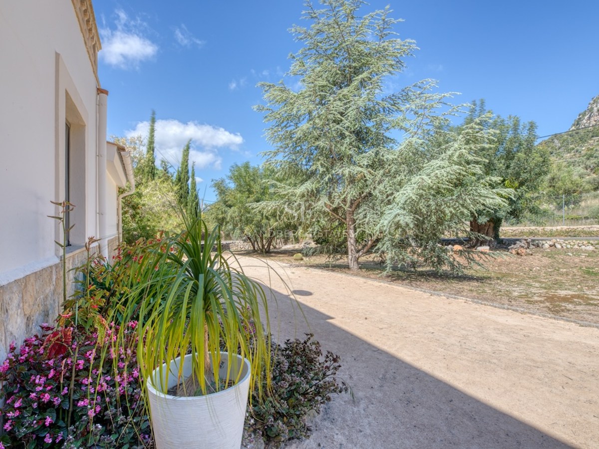 Allée de jardin ensoleillée bordant une villa blanche avec soubassement en pierre et arbres matures à Majorque.