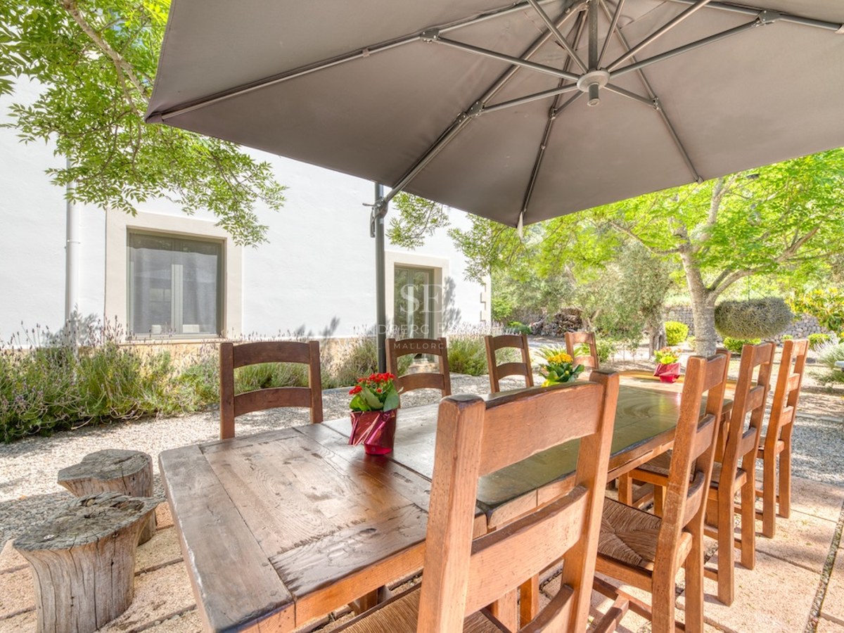 Grande table à manger en bois sous un parasol gris dans un jardin avec lavande et oliviers.