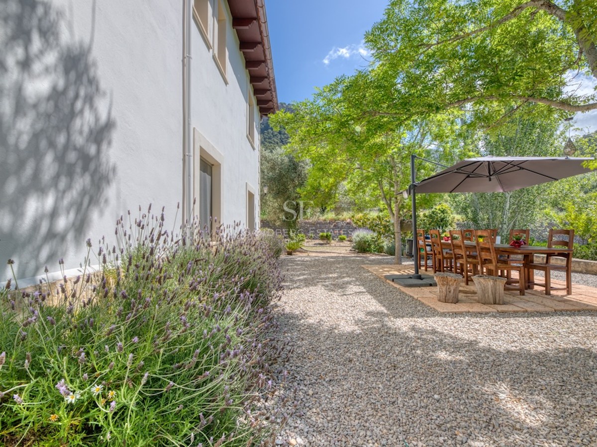 Table à manger en bois sous un parasol sur une terrasse en gravier bordée de lavande près d'une maison blanche.
