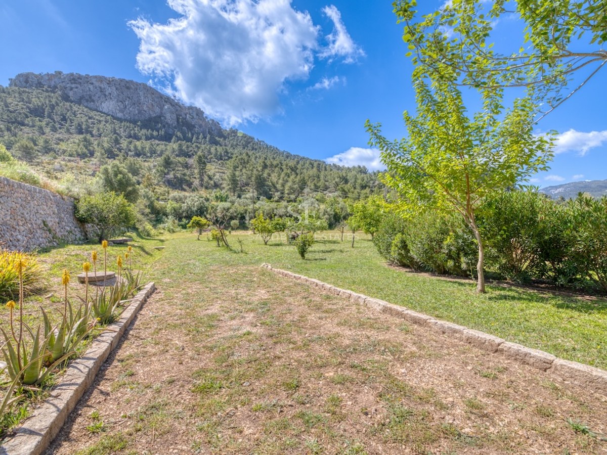 Jardin ensoleillé avec des chemins en pierre, de l'aloe vera et une montagne rocheuse en arrière-plan.