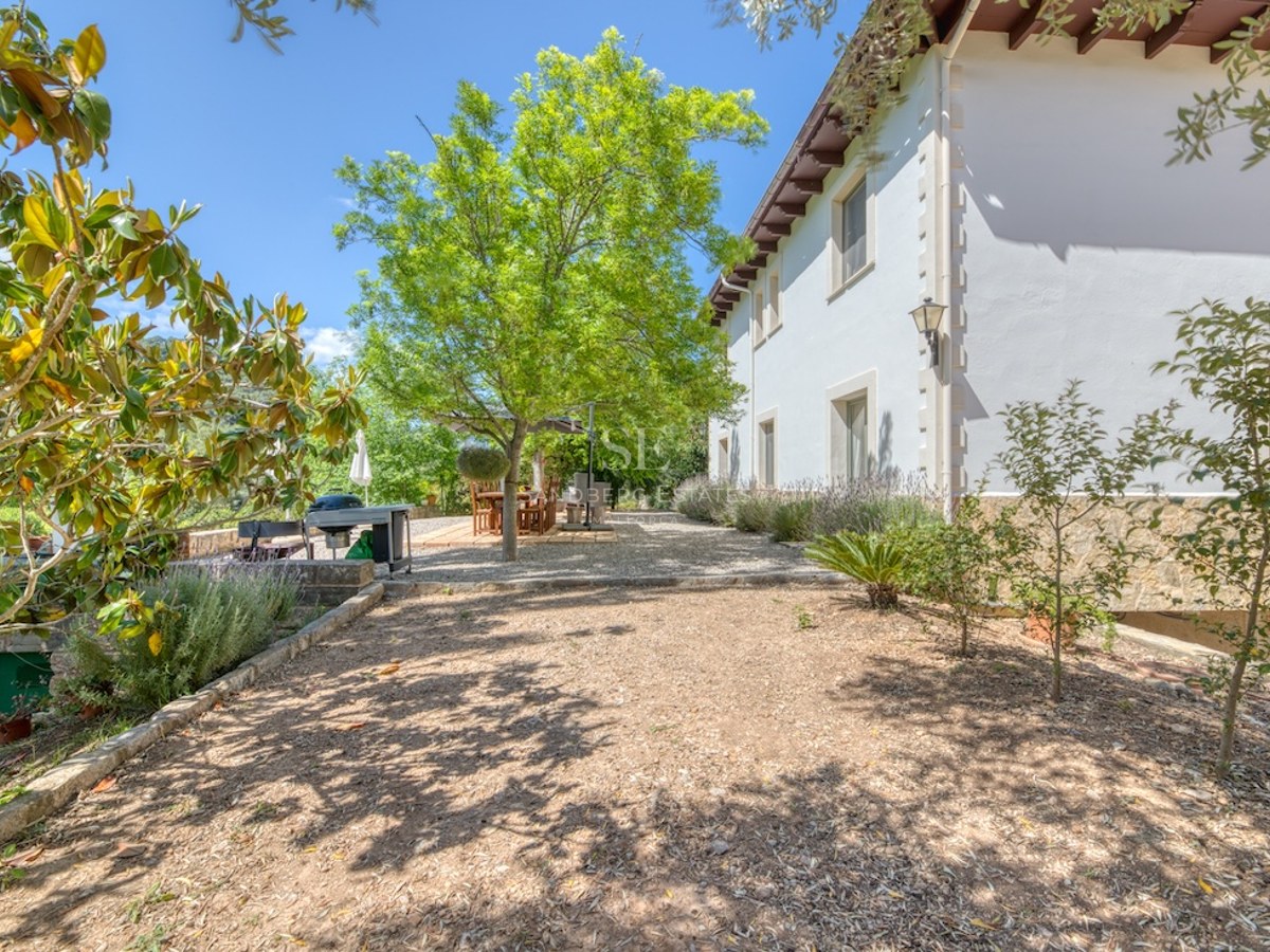 Jardin de gravier ensoleillé avec arbres, table à manger extérieure et façade de maison blanche.