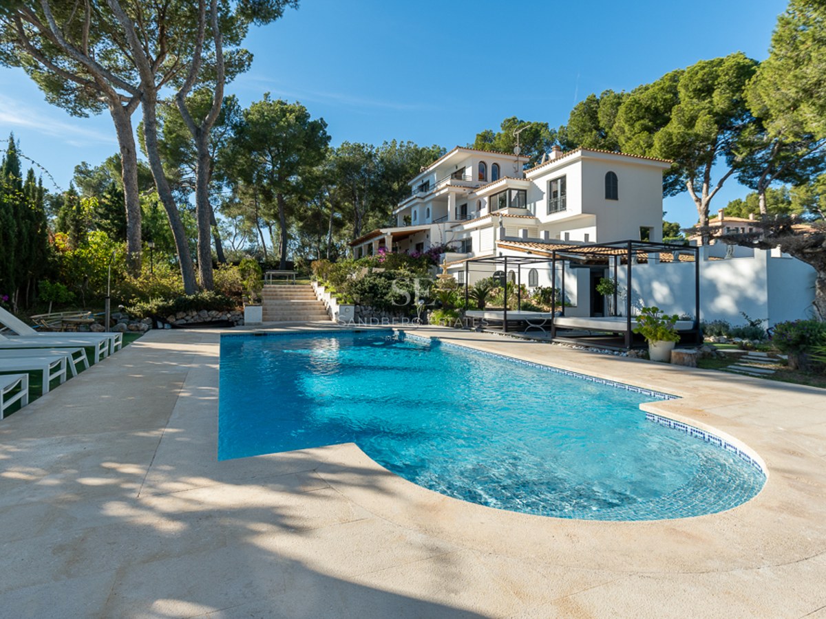 Amplia piscina azul con terraza de piedra, tumbonas blancas y villa de varios niveles rodeada de pinos.