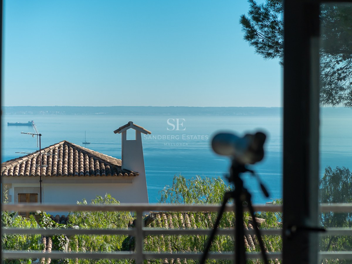 Vista desde el interior hacia tejados tradicionales y vegetación con el mar azul y el horizonte al fondo.