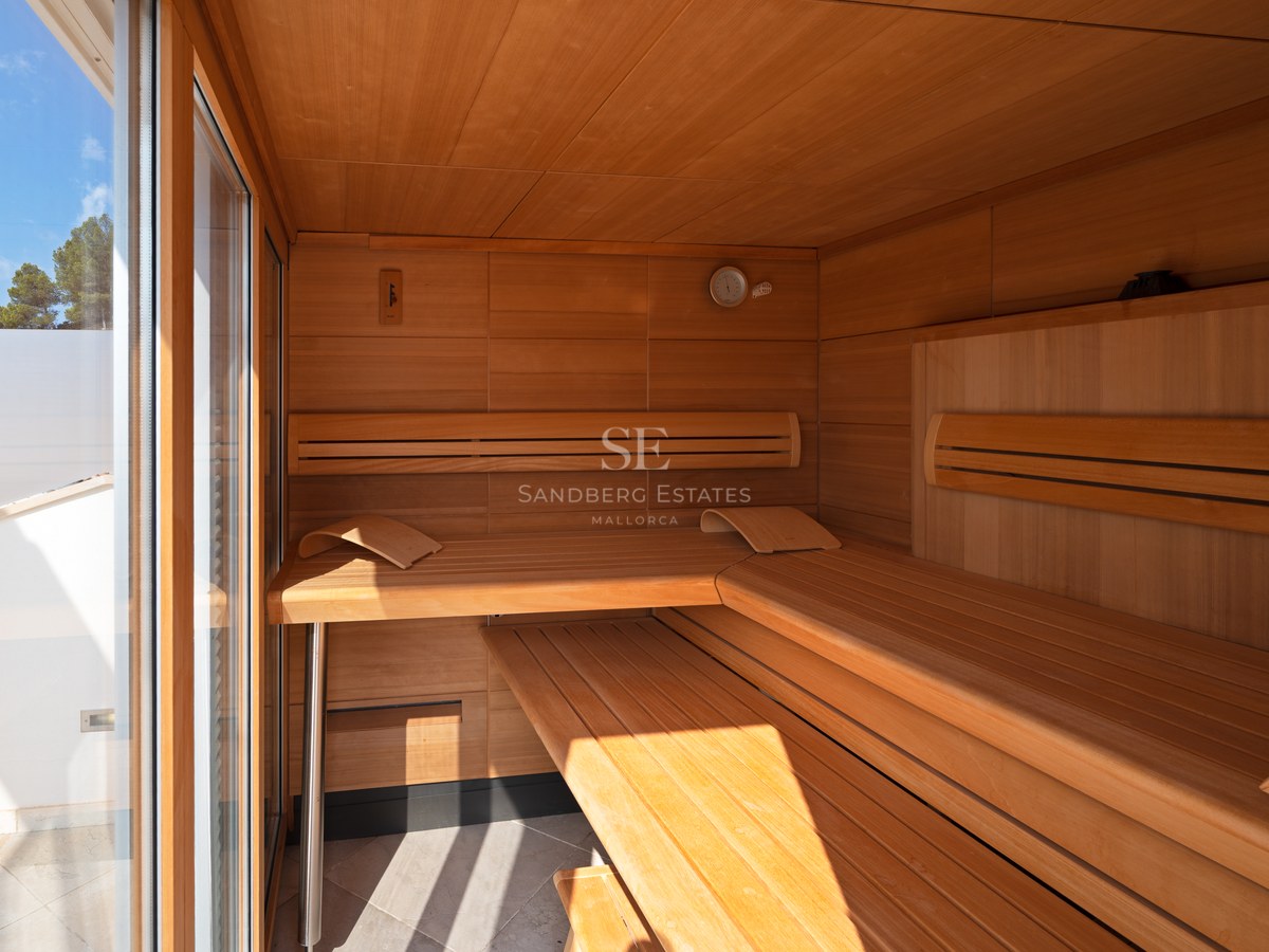 Interior view of a modern sauna featuring multi-level wooden benches and a glass door with natural light.