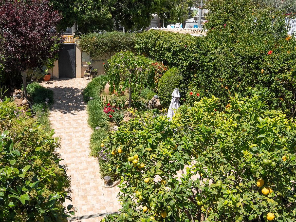 Allée carrelée à travers un jardin luxuriant avec des agrumes et de hautes haies sous un soleil radieux.