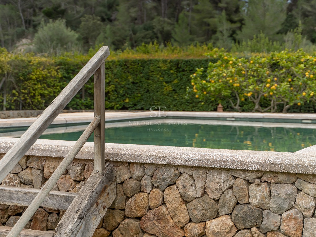 Piscine surélevée avec murs en pierre naturelle et échelle en bois, entourée d'un jardin et d'un citronnier.