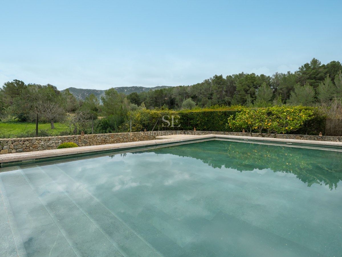 Piscine rectangulaire aux reflets verts entourée de murs en pierre, un citronnier et une forêt de pins en arrière-plan.
