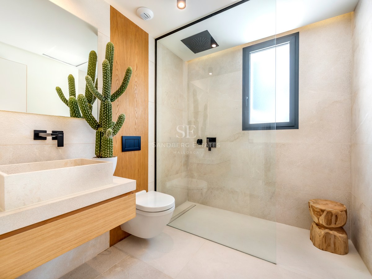 Baño contemporáneo con ducha de cristal, lavabo de piedra, mueble de madera y un gran cactus decorativo.