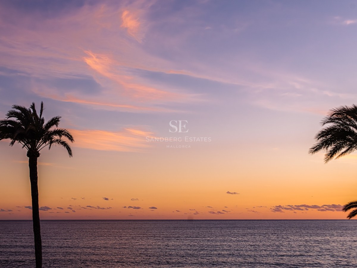 Sunset over the Mediterranean Sea with silhouetted palm trees against an orange and purple sky.