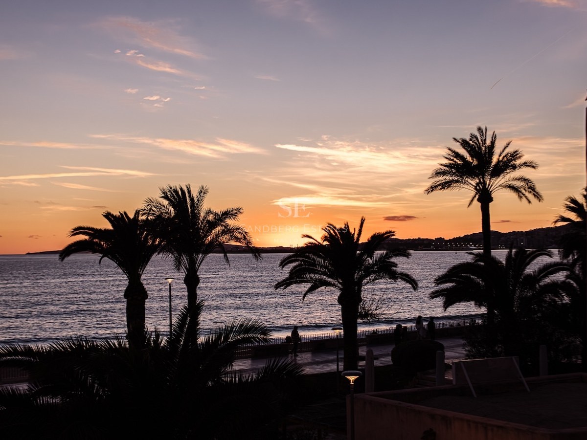 Silhouette of palm trees against an orange and purple sunset over the sea and coastal promenade.