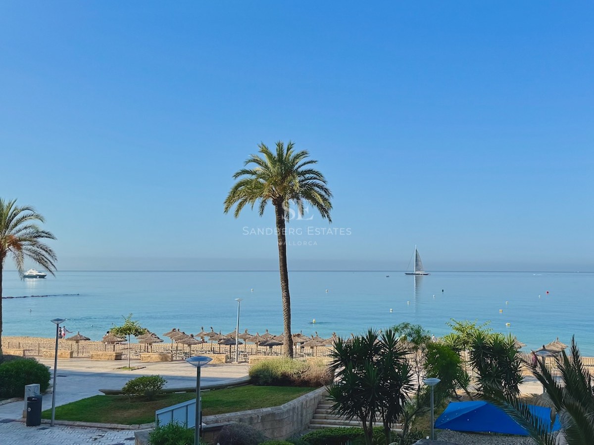 View of the turquoise Mediterranean Sea with palm trees, a sandy beach with straw umbrellas, and a sailboat.