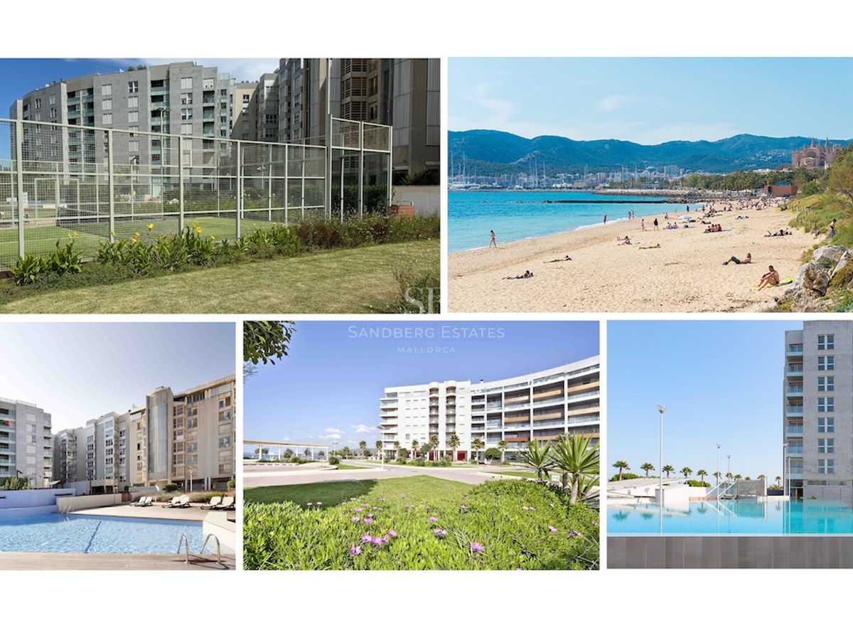 Collage of luxury apartment amenities: outdoor pool, padel court, landscaped gardens, and nearby beach with cathedral views.