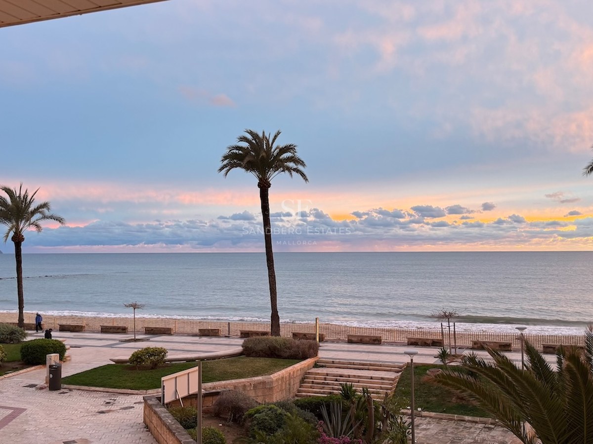 View of the beach and Mediterranean sea at sunset from a terrace overlooking a palm-lined promenade.
